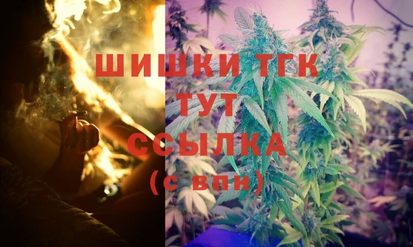 таблы Гусев