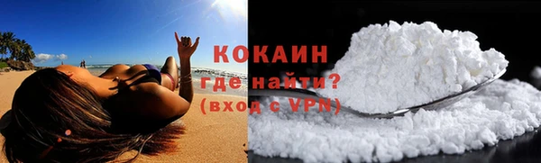 таблы Гусев
