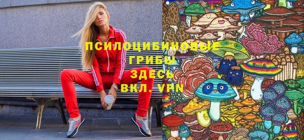 скорость mdpv Гусь-Хрустальный