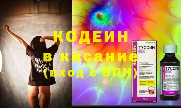 таблы Гусев