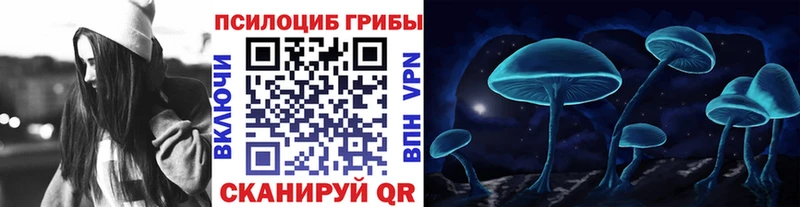 Псилоцибиновые грибы Psilocybe дарнет шоп Железногорск-Илимский
